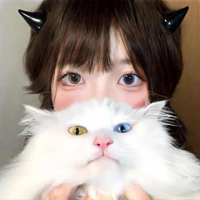 蜂蜜与四叶草第一季